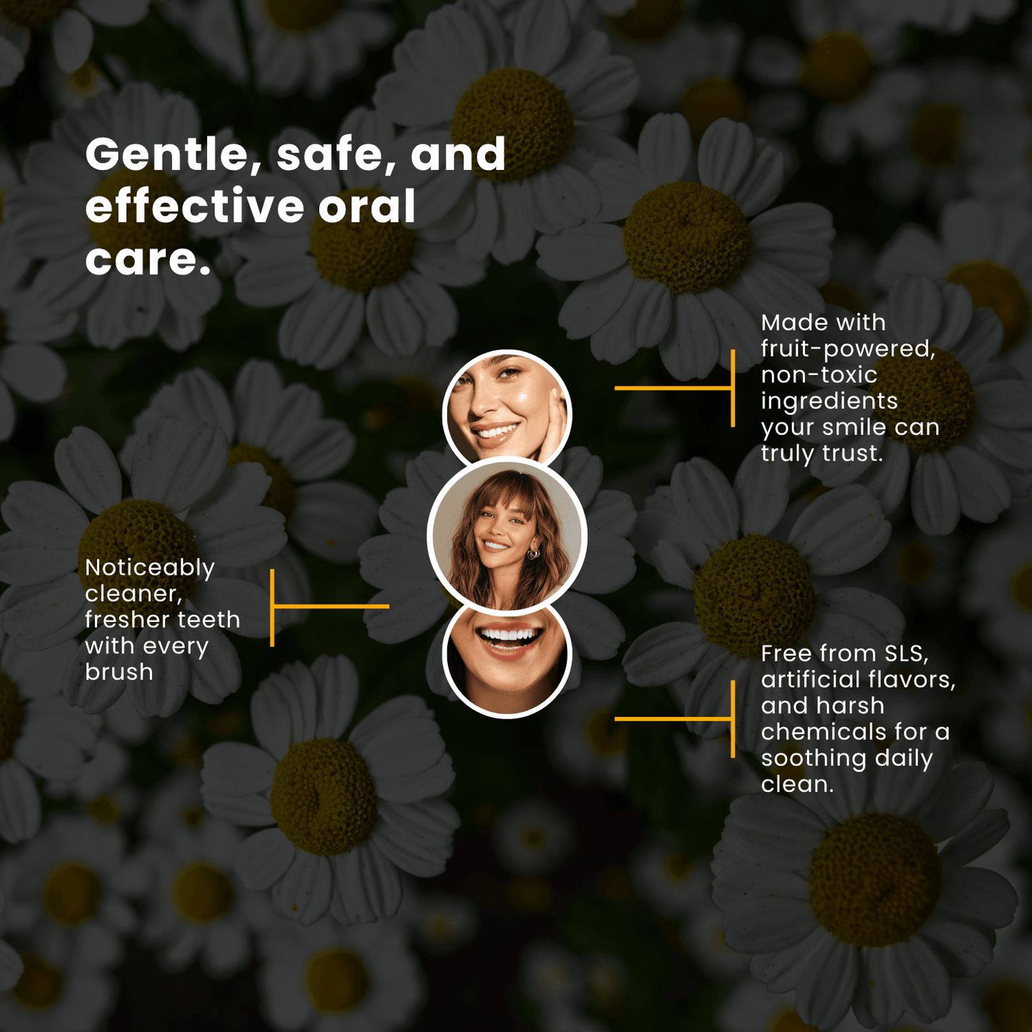 Chamomile Mint Fresh Toothpaste