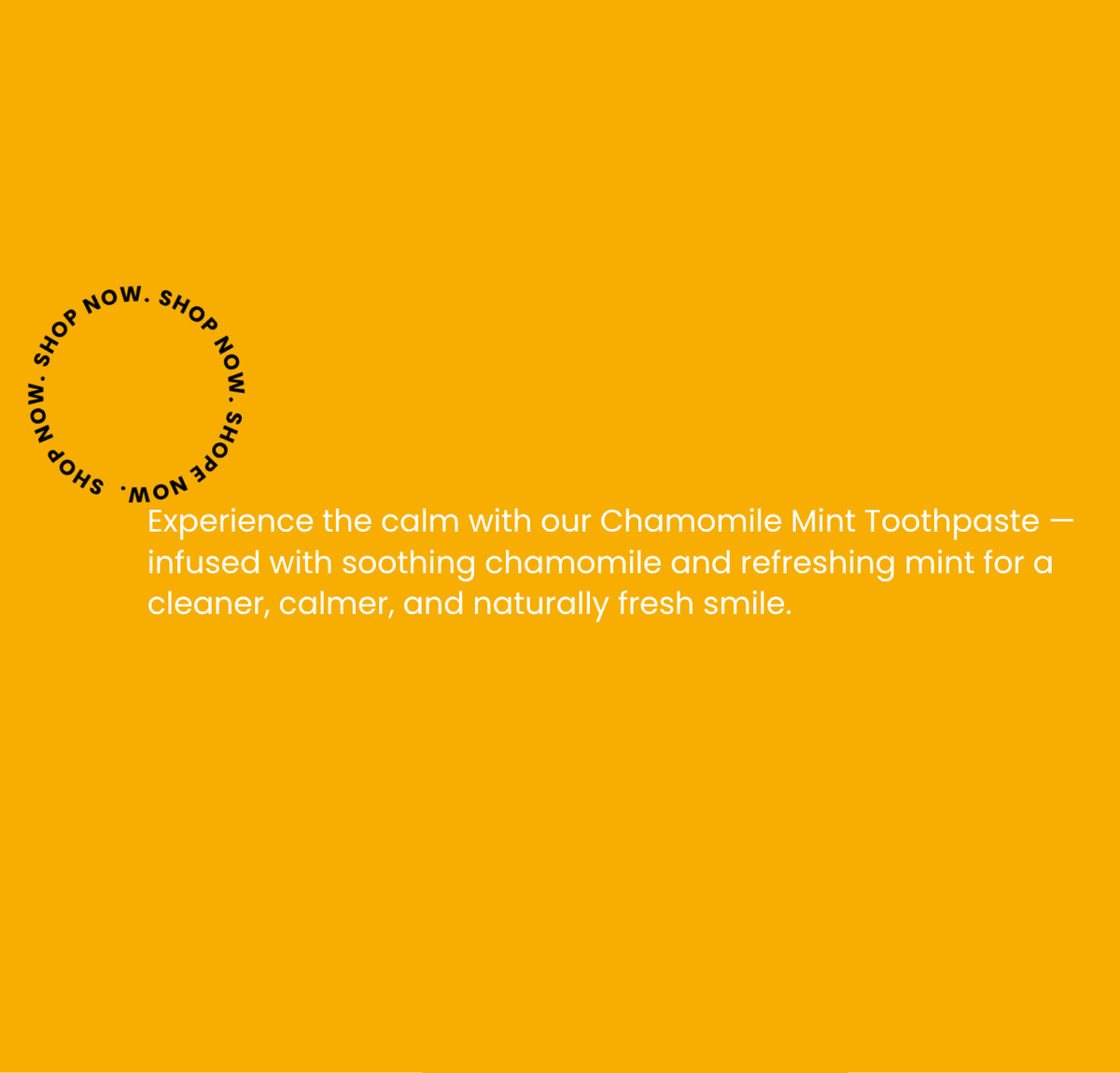 Chamomile Mint Fresh Toothpaste